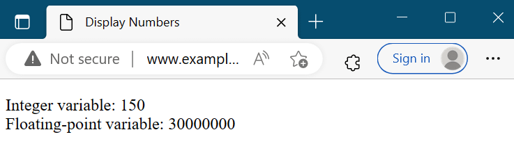 Intiger And Floating Point Numbers web View